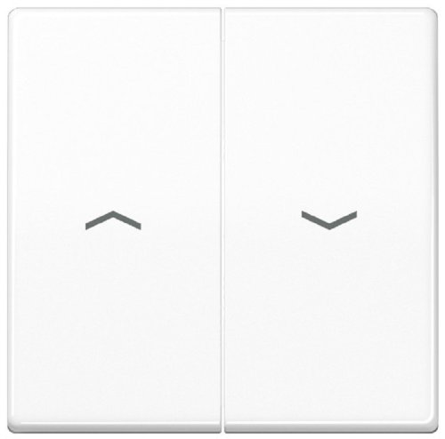 Лицевая панель Jung EcoProfi для 2-кл. выключателя жалюзи белый картинка